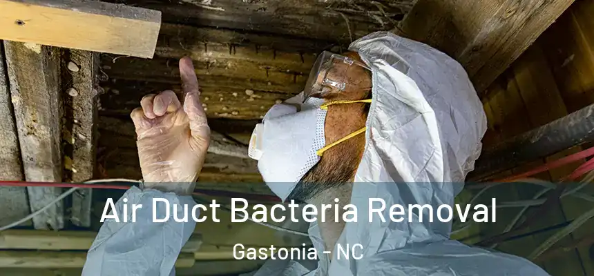  Air Duct Bacteria Removal Gastonia - NC