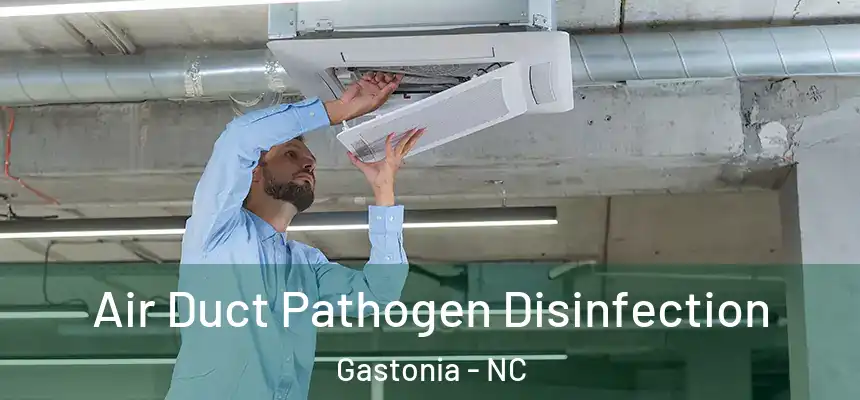  Air Duct Pathogen Disinfection Gastonia - NC