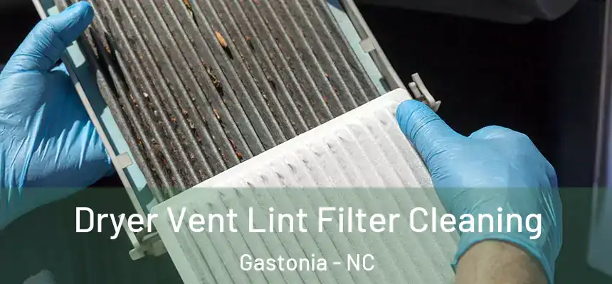  Dryer Vent Lint Filter Cleaning Gastonia - NC