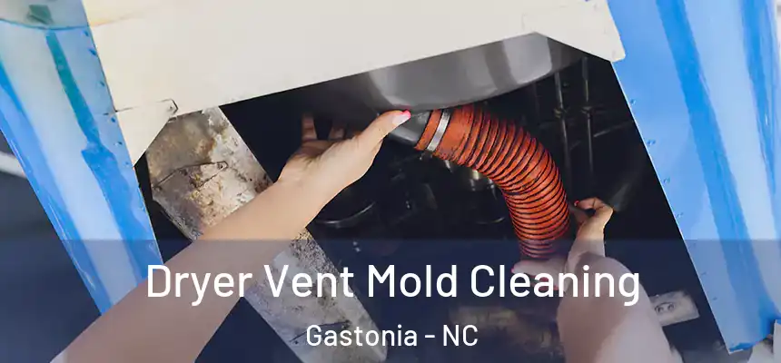 Dryer Vent Mold Cleaning Gastonia - NC