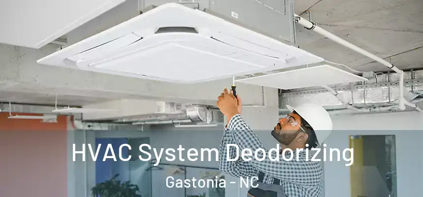  HVAC System Deodorizing Gastonia - NC