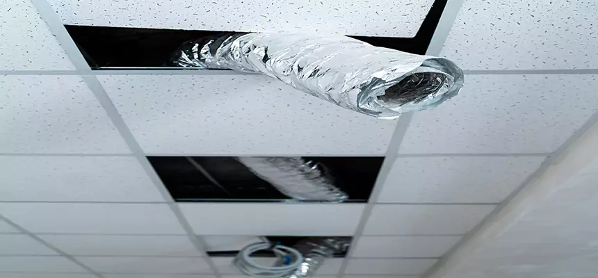 Affordable HVAC Sanitizing After Pest Removal in Gastonia