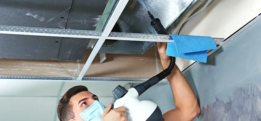 Our Air Duct Rodent Removal Services in Gastonia, NC