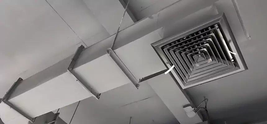 Our Pest Removal From Ducts Services in Gastonia, NC