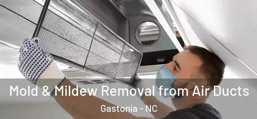  Mold & Mildew Removal from Air Ducts Gastonia - NC