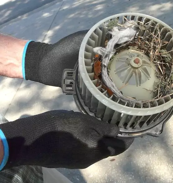 About Air Duct Rat Removal in Gastonia, NC