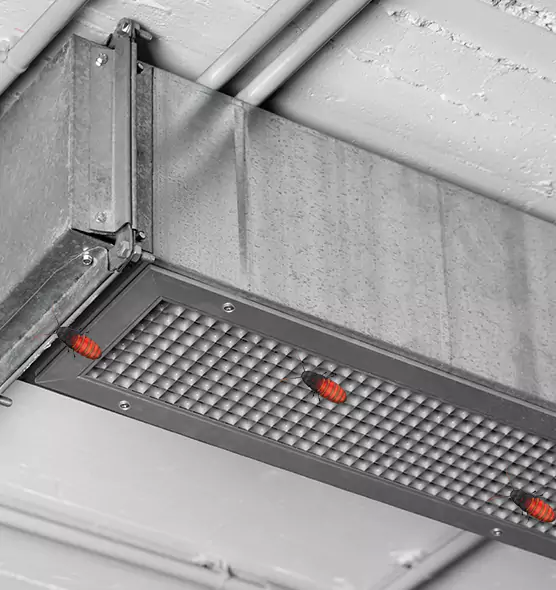 Affordable Insect Removal from Air Ducts in Gastonia, NC